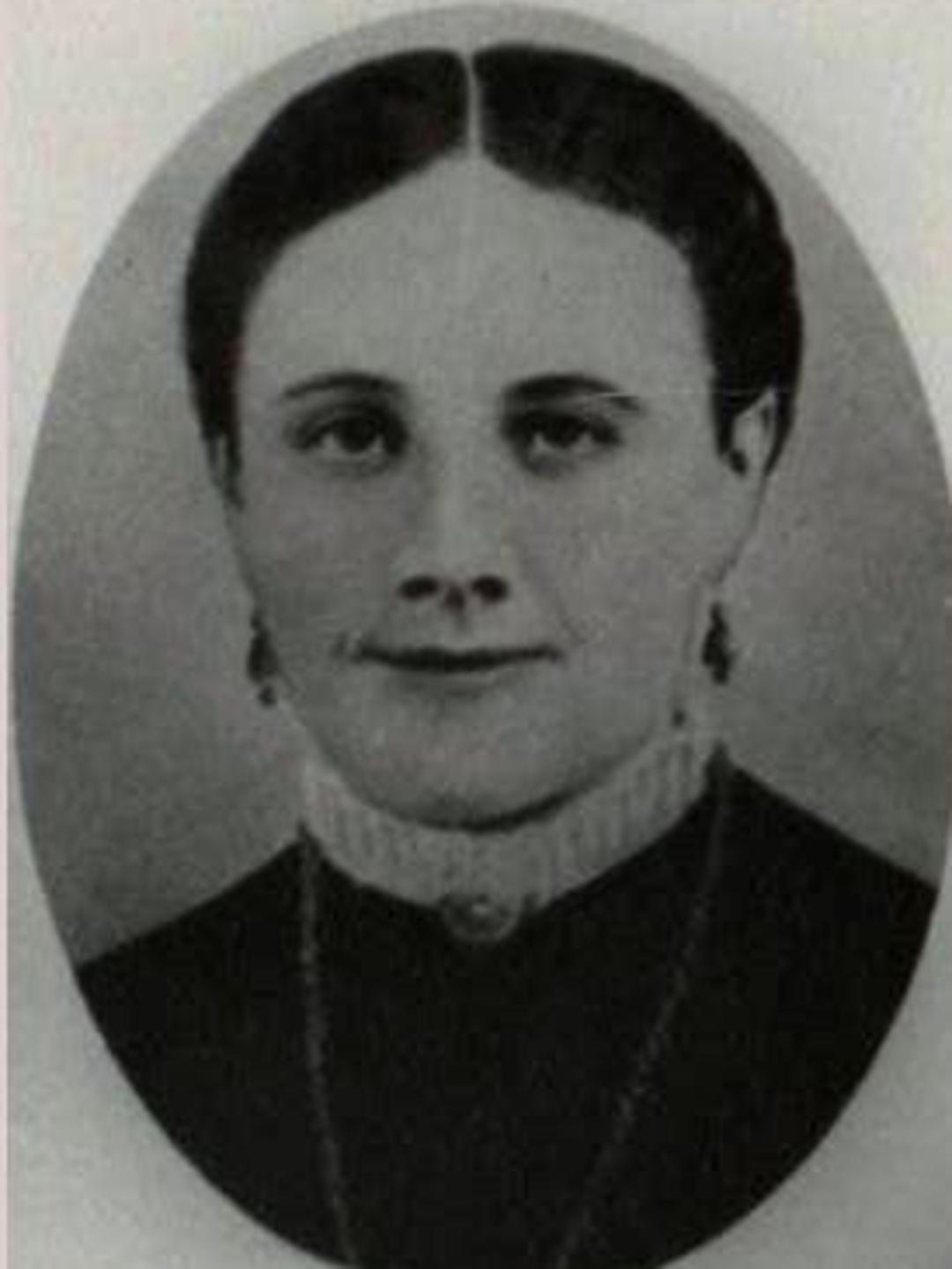 Elizabeth Jenkins (1848 - 1899) Profile